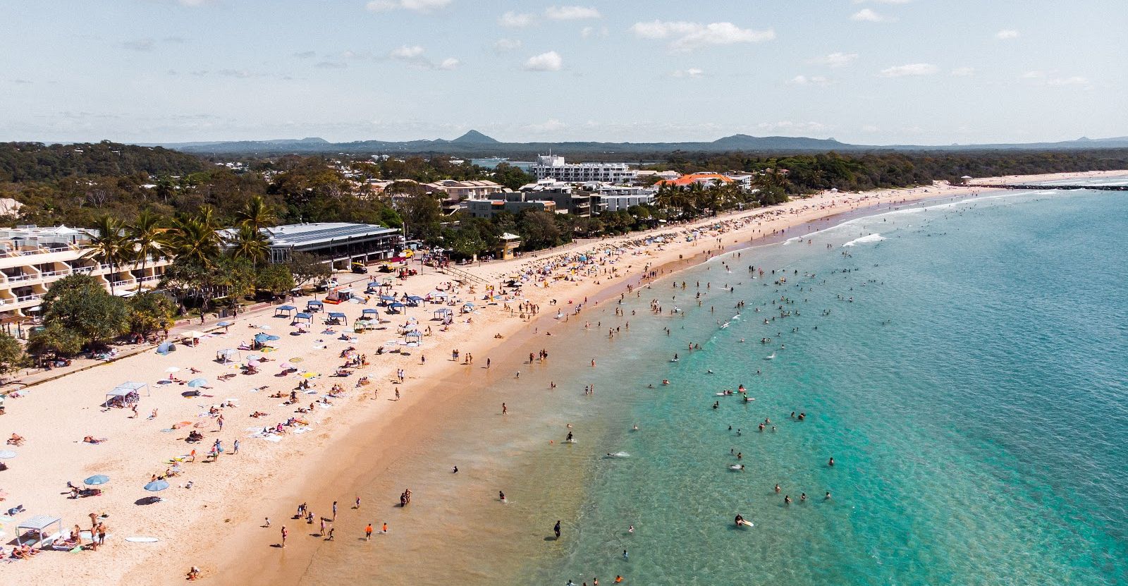 Noosa Market Update Straight From The Source
