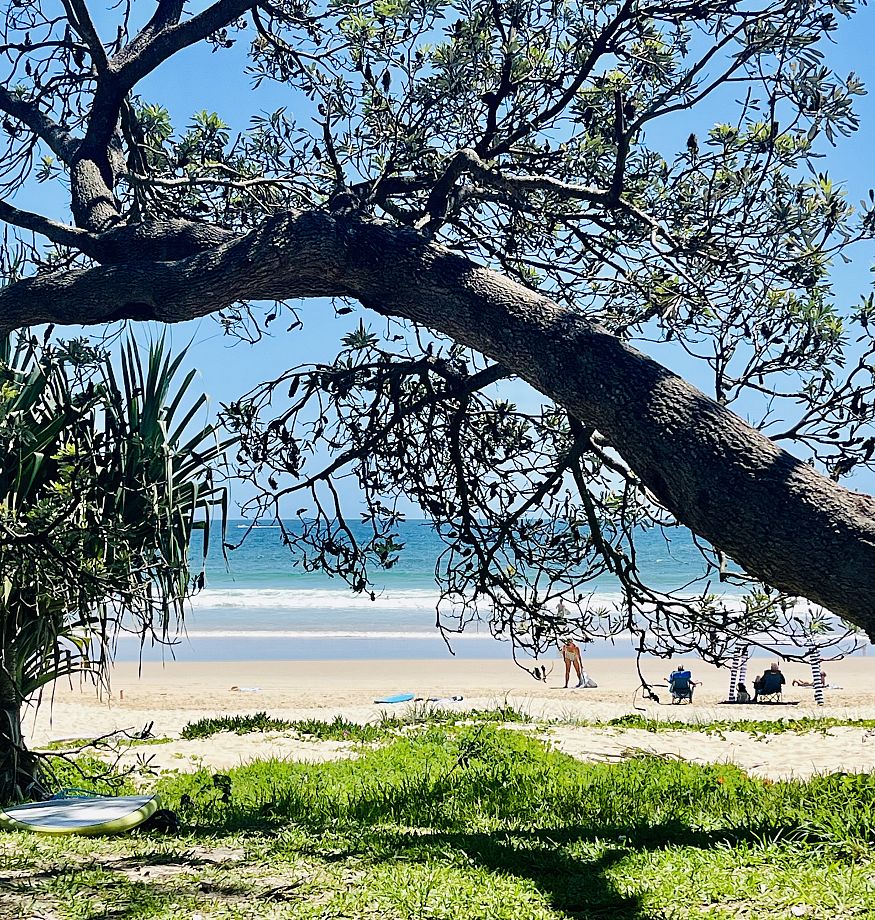 Noosa Property 2024!